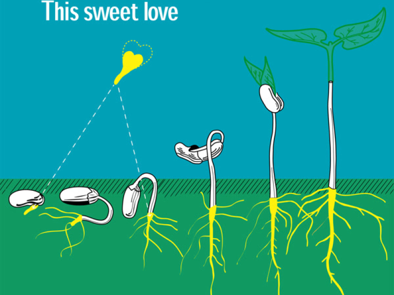 This Sweet Love - EP