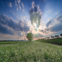 A night sky (Single)