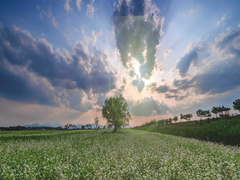 A night sky (Single)