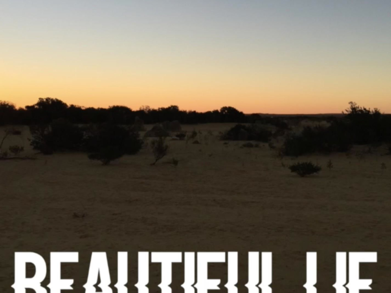 Beautiful Lie (Single)