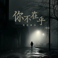 你不在乎我的难过 (男版) (Single)