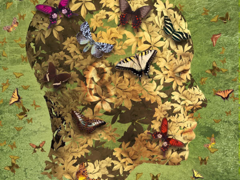 The Butterfly Effect