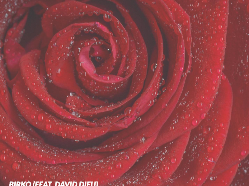 Drømmeland (feat. David Dieu) (Single)