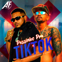 Passinho pra TikTok (Single)