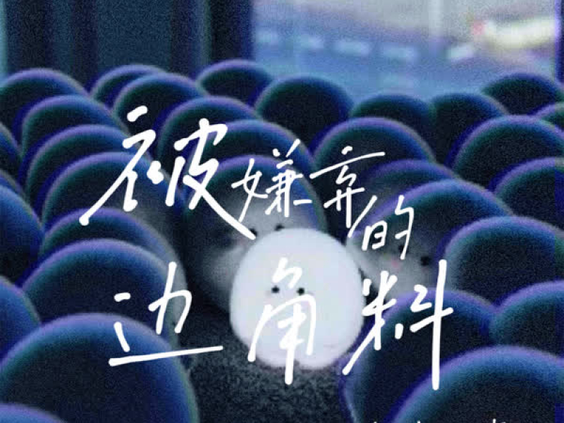被嫌弃的边角料 (Single)
