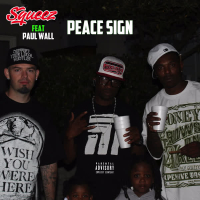 Peace Sign (feat. Paul Wall) (Single)