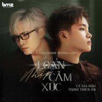 Loạn Nhịp Cảm Xúc (PTbis X Melodiez Speed Lofi) (Single)