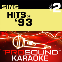 Sing Hits Of '93 v.2 (Karaoke Performance Tracks)