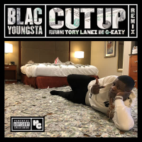 Cut Up (Remix) (Single)