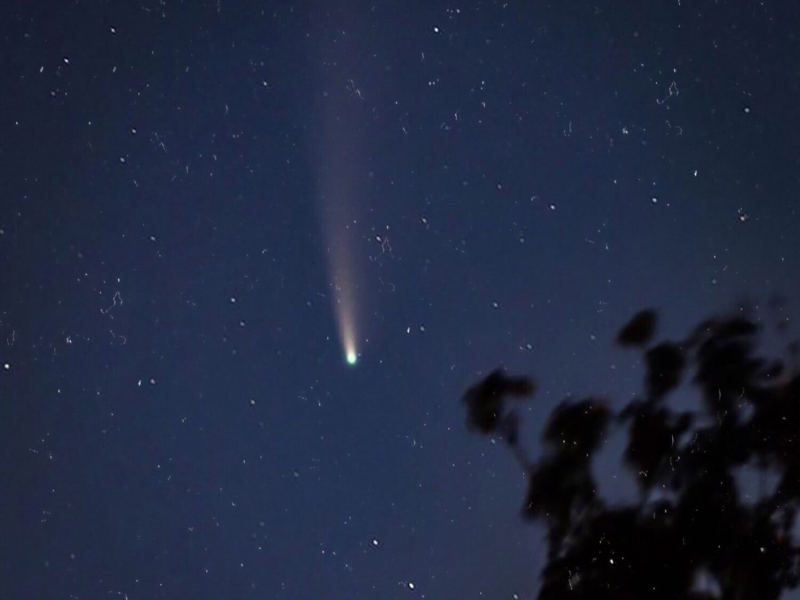 3AM (Stripped) (Single)