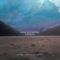 Concentrated Forces (Single)