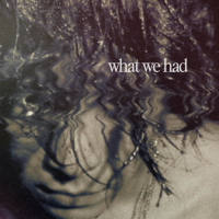what we had (Single)