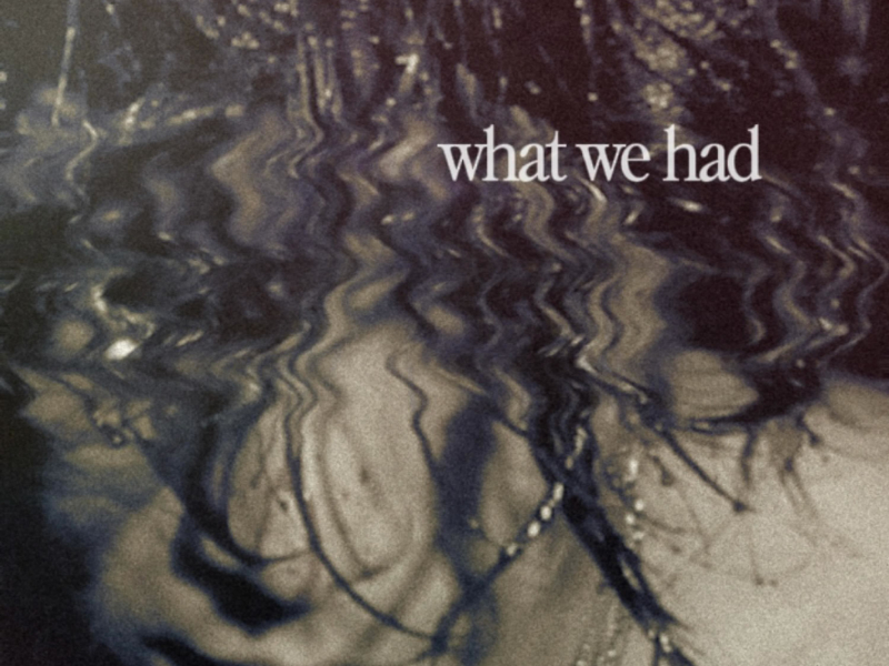 what we had (Single)