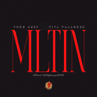 MLTIN