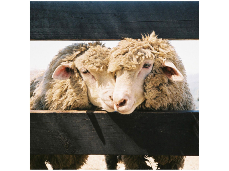 Love Blind (feat. Jung Woo) (Single)