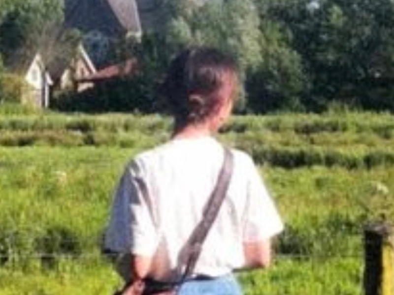 the most beautiful girl in the world (Single)