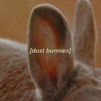 dust bunnies (Single)