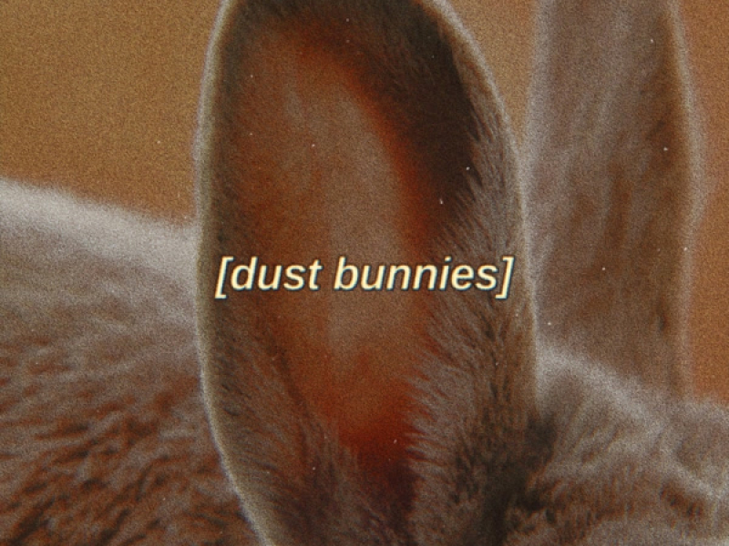 dust bunnies (Single)