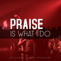 Praise Is What I Do (Single)