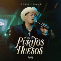 En Los Puritos Huesos (En Vivo) (Single)