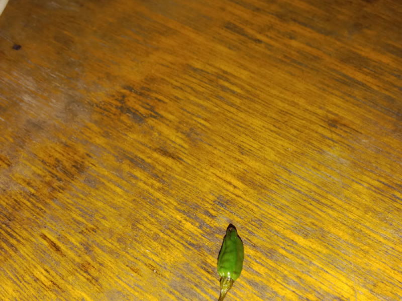 Saat Kau Pergi (Single)