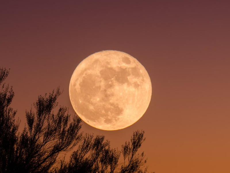 Слепые (Single)