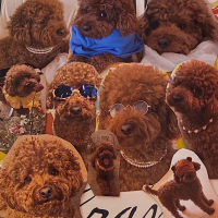 You Made My Day (Single)