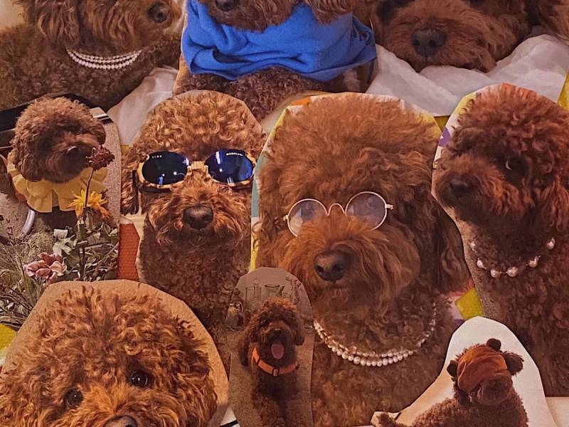 You Made My Day (Single)