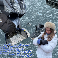 Springfield (Single)