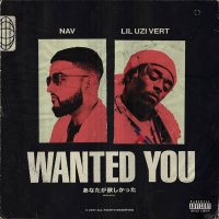 Wanted You (Single)