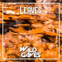 Leaves (Single)