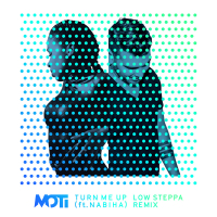 Turn Me Up (Low Steppa Remix) (Single)