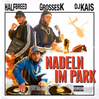 Nadeln im Park (Single)