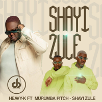 Shayi Zule (Single)