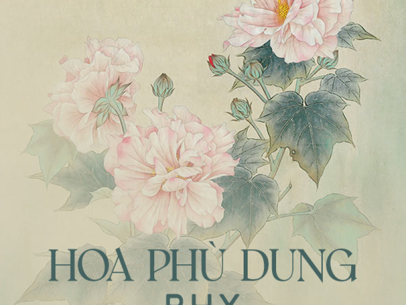 Hoa Phù Dung (Single)