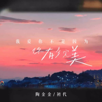 我爱你不是因为你有多完美 (Single)