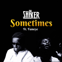 Sometimes (Single)