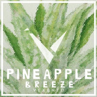 Pineapple Breeze (Single)