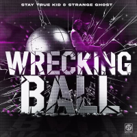 Wrecking Ball (Techno Mix) (Single)