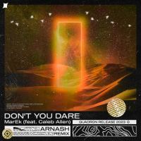 Don't You Dare (ARNASH Remix) (Single)