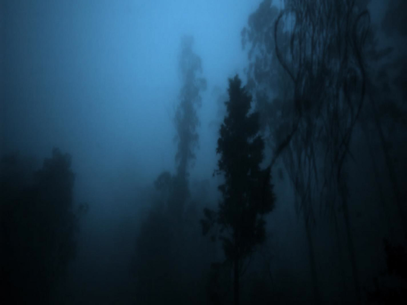 the rain that falls alone... (Single)