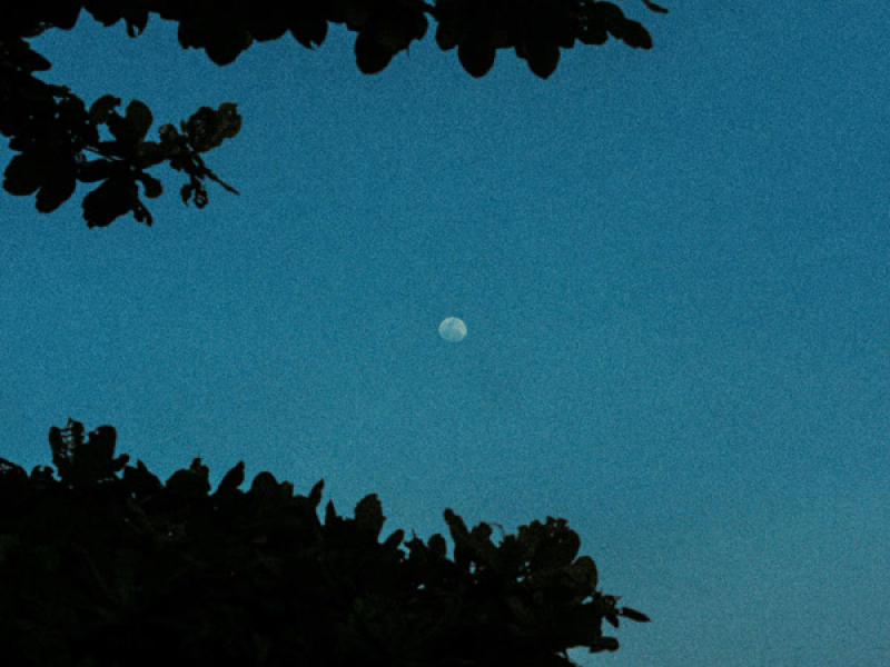 last day of summer (Single)