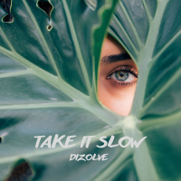 Take It Slow (Single)