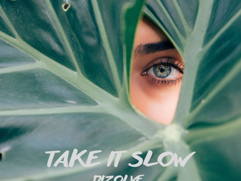 Take It Slow (Single)