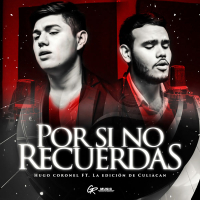 Por Si No Recuerdas (Single)