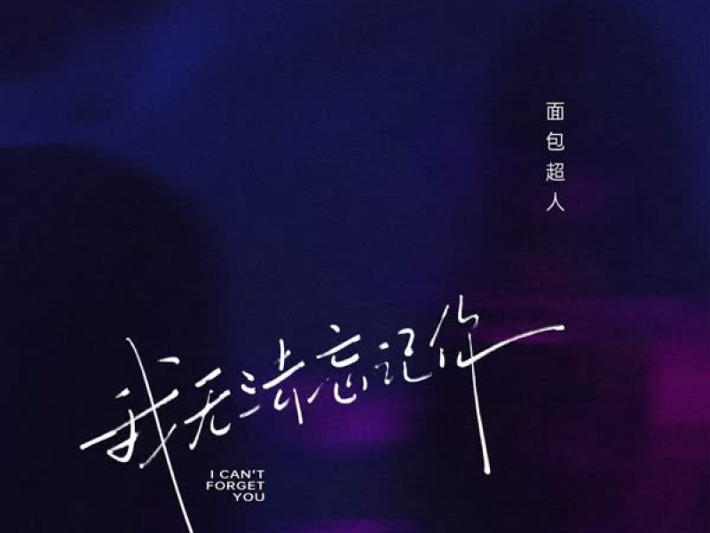 我无法忘记你 (Single)