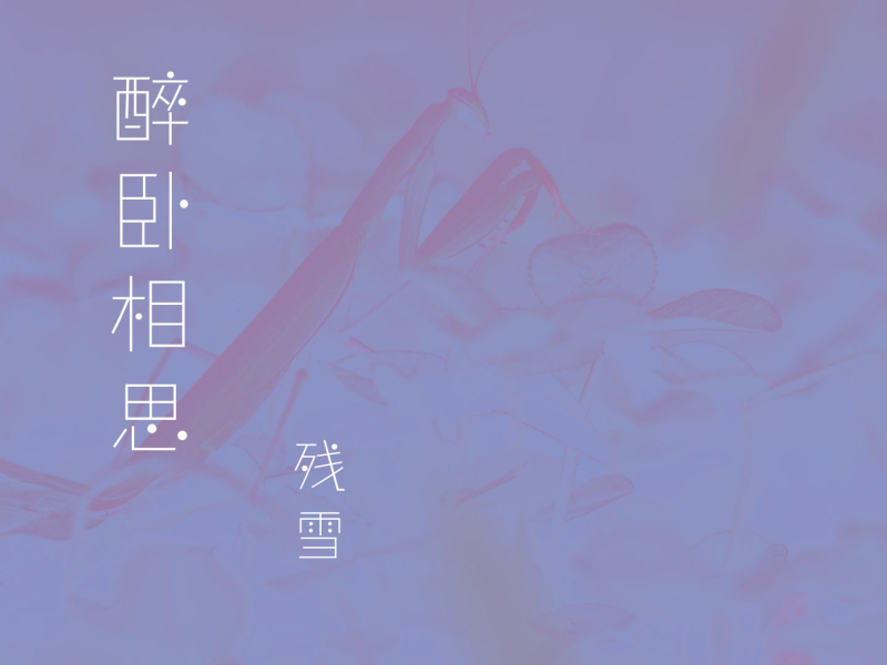 醉卧相思 (EP)