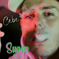 Sugar (Single)