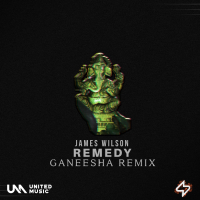 Remedy (Ganeesha Remix) (Single)