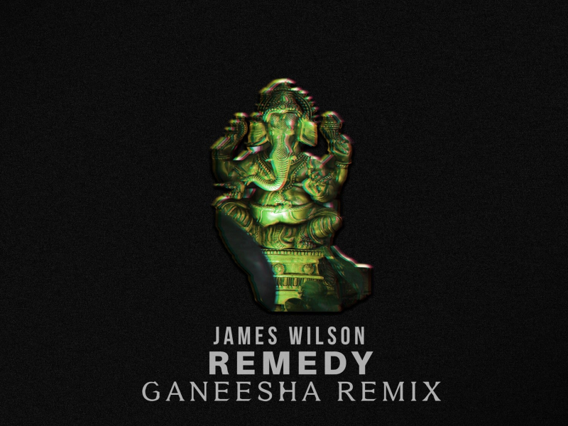 Remedy (Ganeesha Remix) (Single)